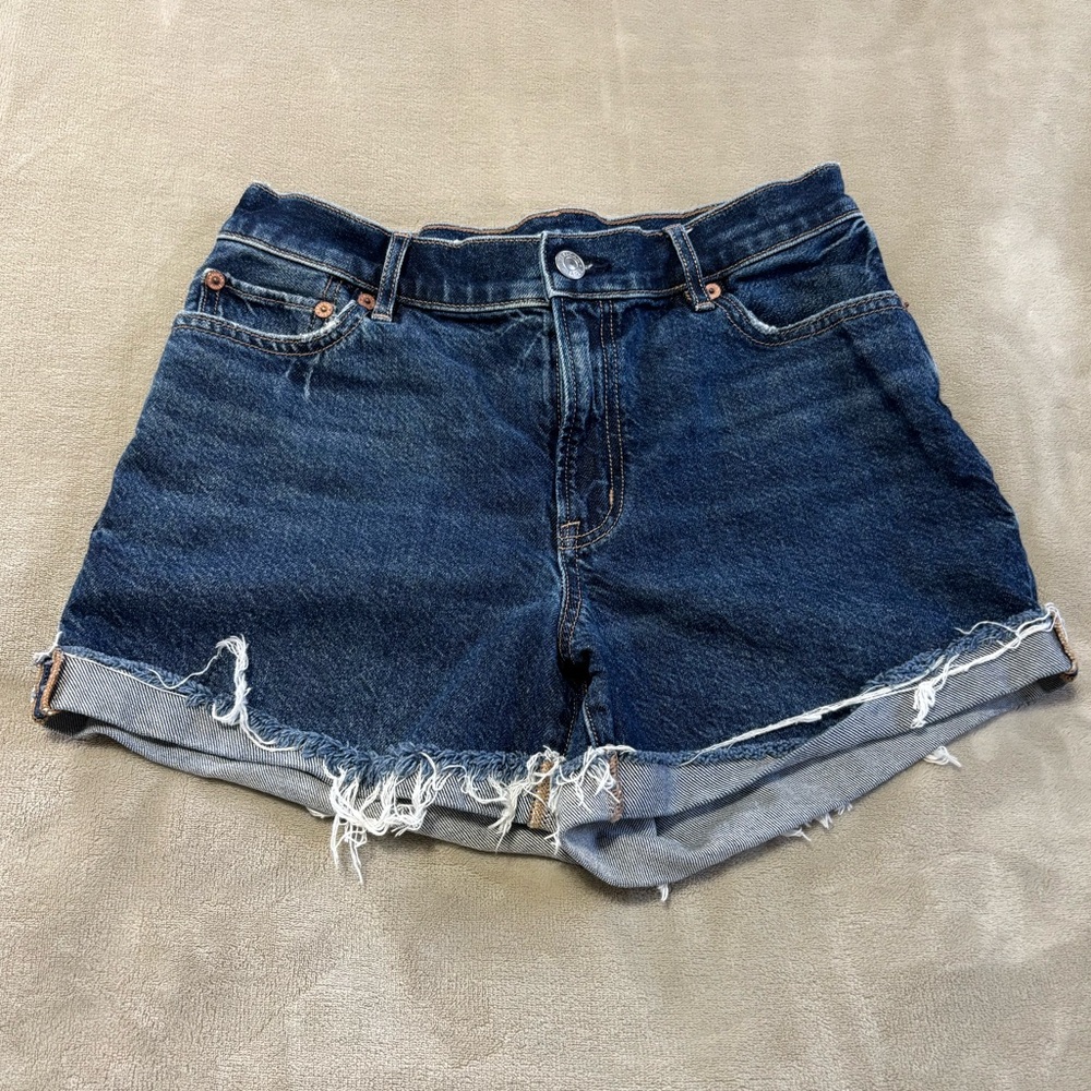 American Eagle Outfitters Strigid Relaxed Denim‎ Blue Shorts